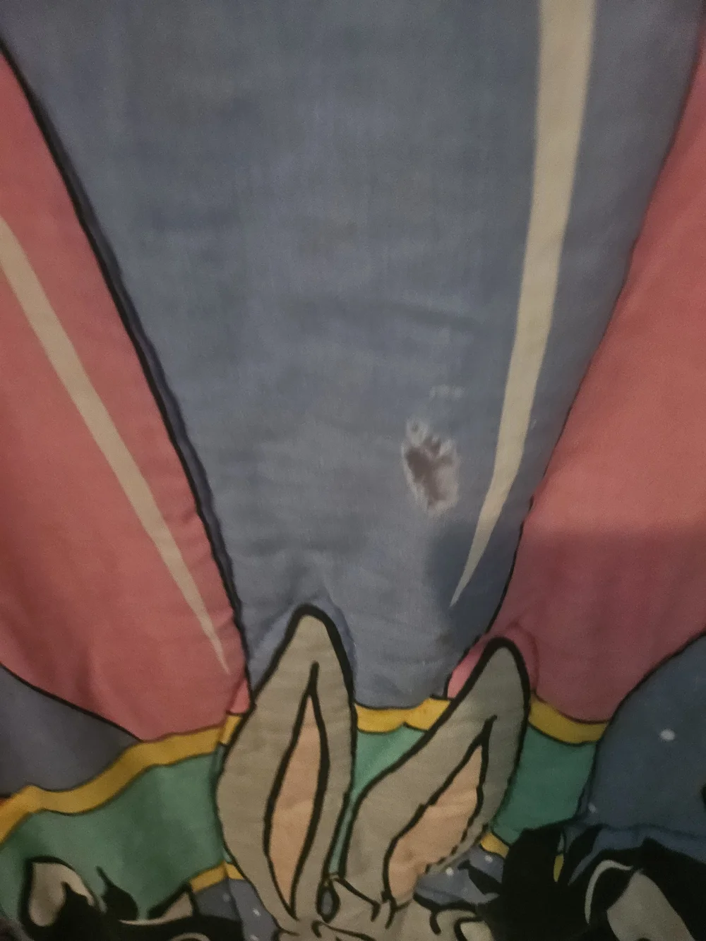 The item in the image is a vintage 1993 Baby Looney Tunes quilted crib blanket